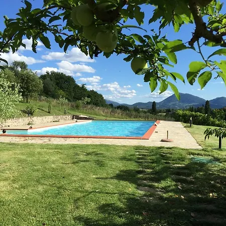 Agricola Caicucci