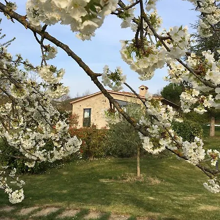 Agricola Caicucci Σπίτι διακοπών Montone (Umbria)